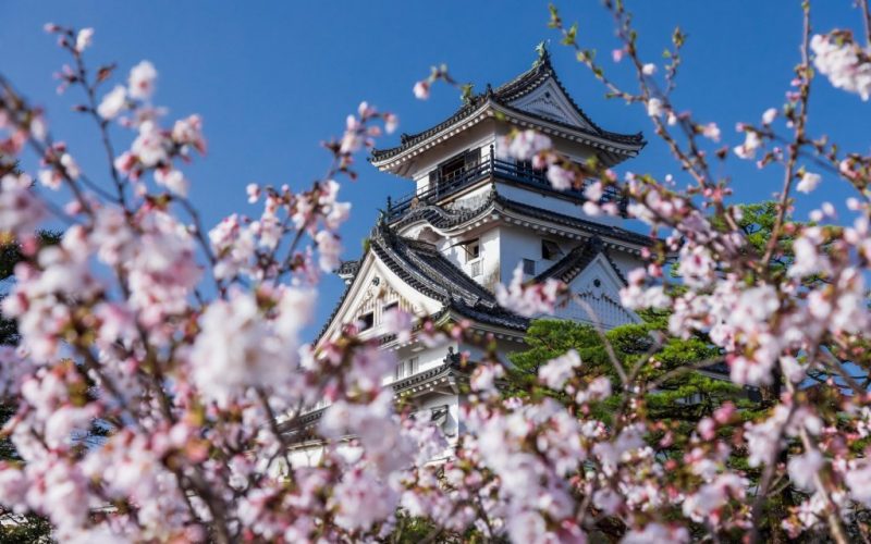 Kochi Castle