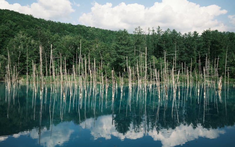 Biei Blue Pond