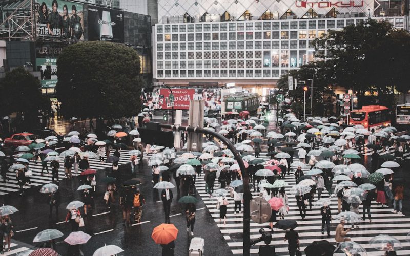 Is Tokyo een stad?