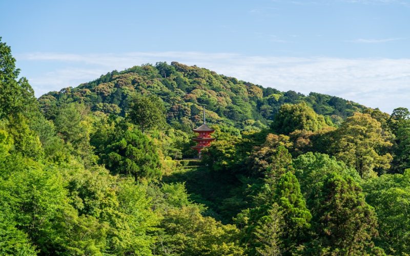 Kiyomizu-dera in Kyoto: tempel met het houten terras
