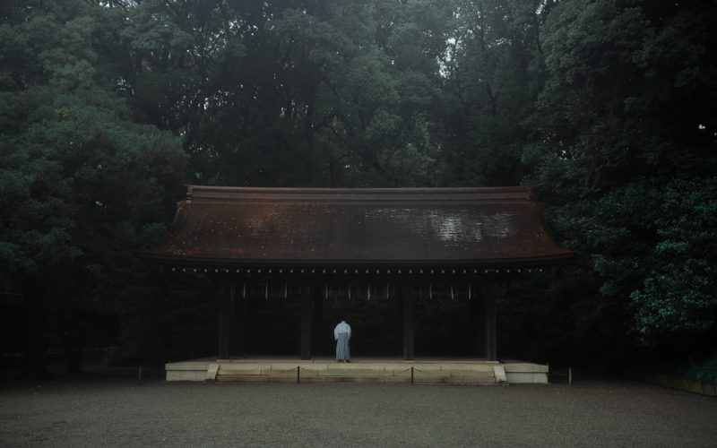 Meiji-schrijn in Tokyo: schrijn in het bos bij Harajuku
