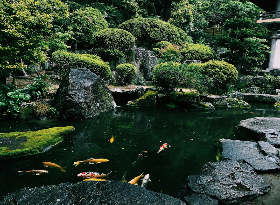 Okayama Korakuen Garden