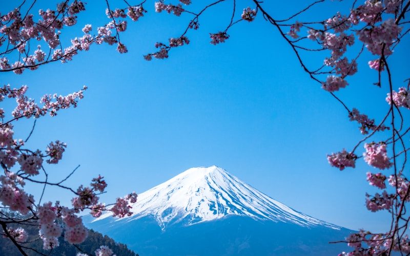 Owakudani