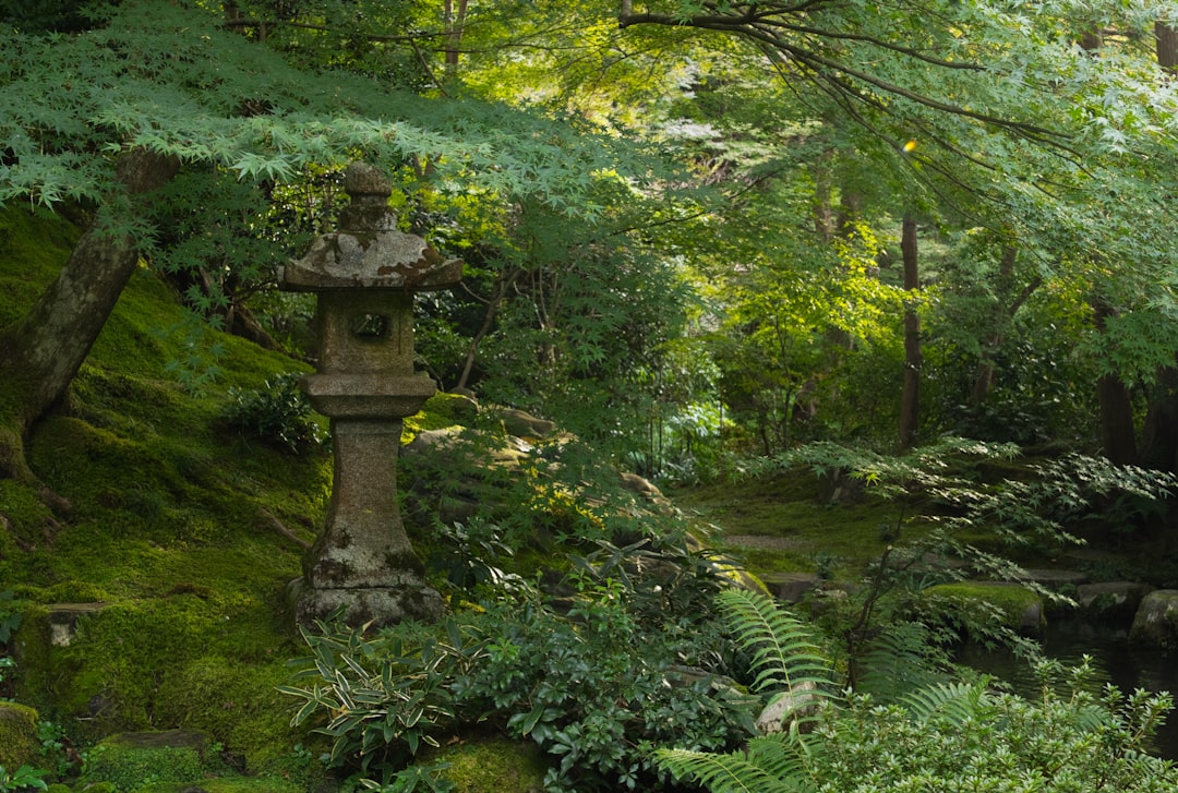 Filosofenpad in Kyoto: wandelen van Ginkaku-ji naar Nanzen-ji
