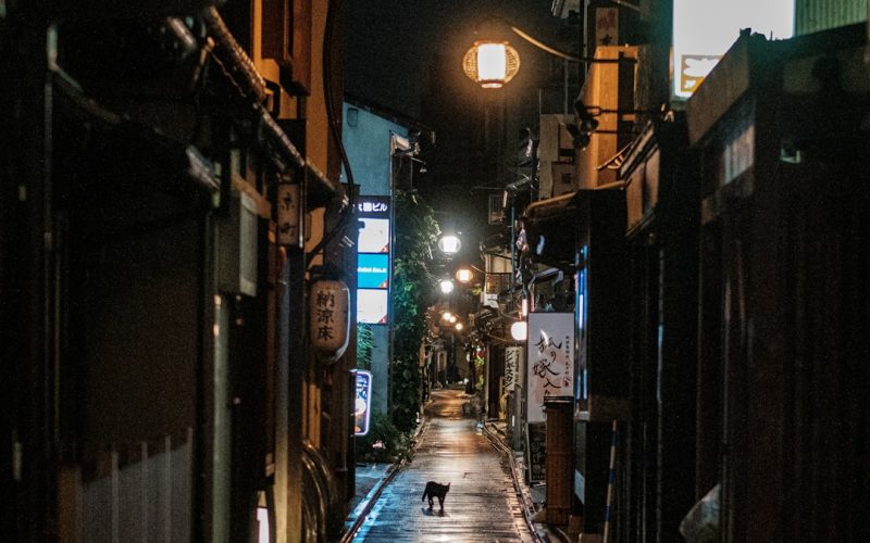 Pontocho in Kyoto: steegje langs de Kamo-rivier