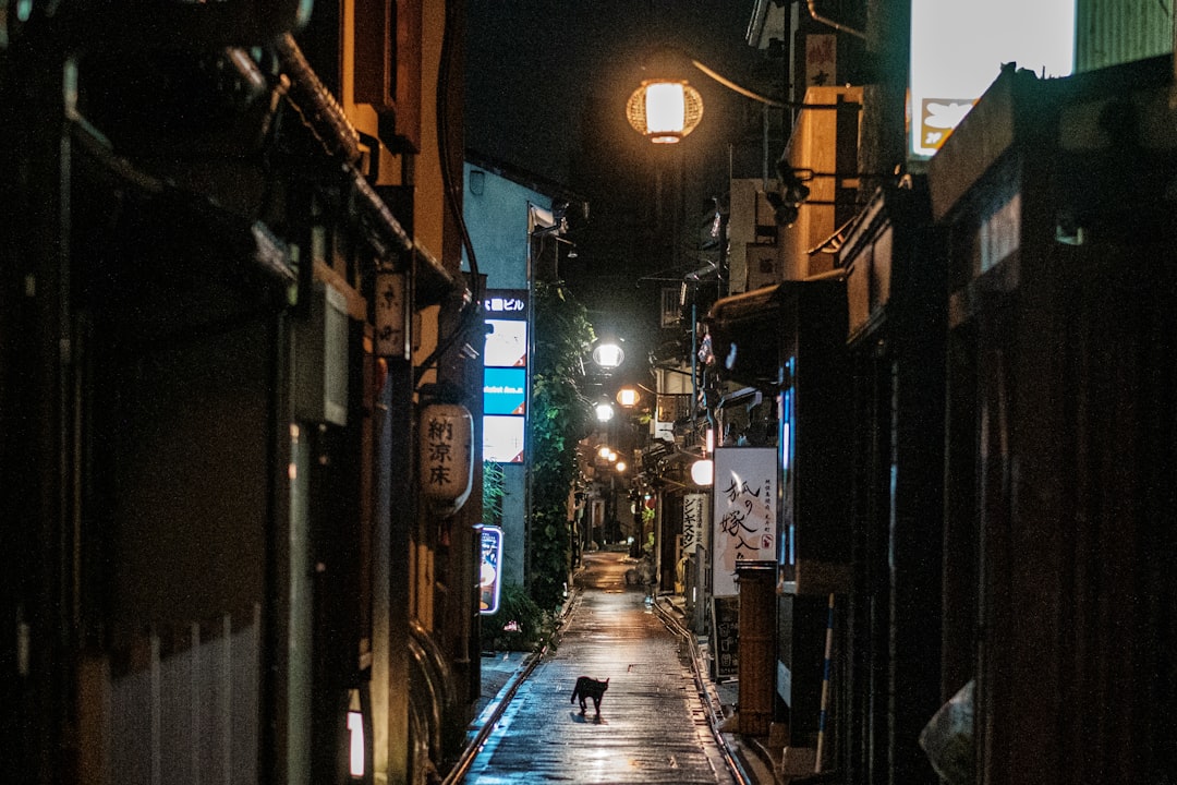 Pontocho in Kyoto: steegje langs de Kamo-rivier