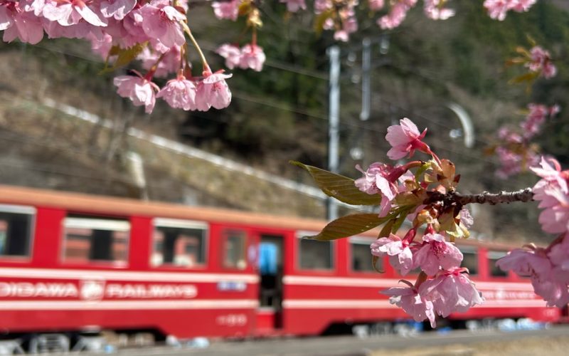 Sagano Romantic Train: per boemeltrein door de Hozu-kloof