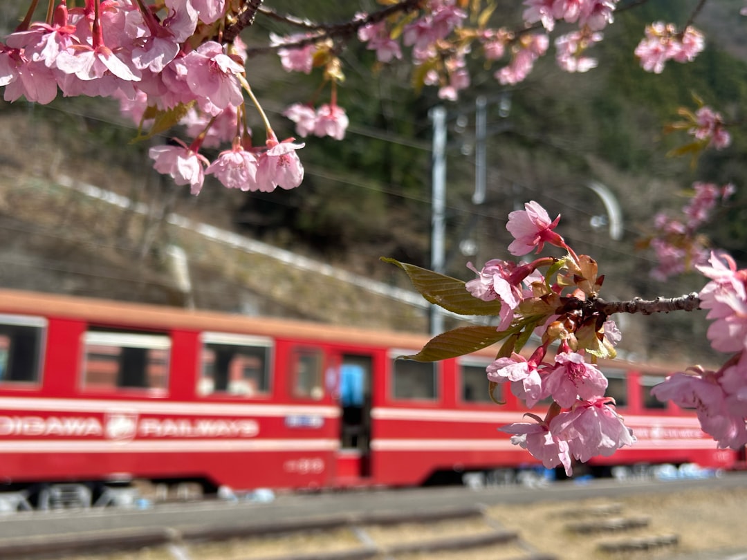 Sagano Romantic Train: per boemeltrein door de Hozu-kloof