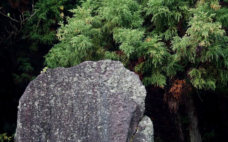 Yakushima Island