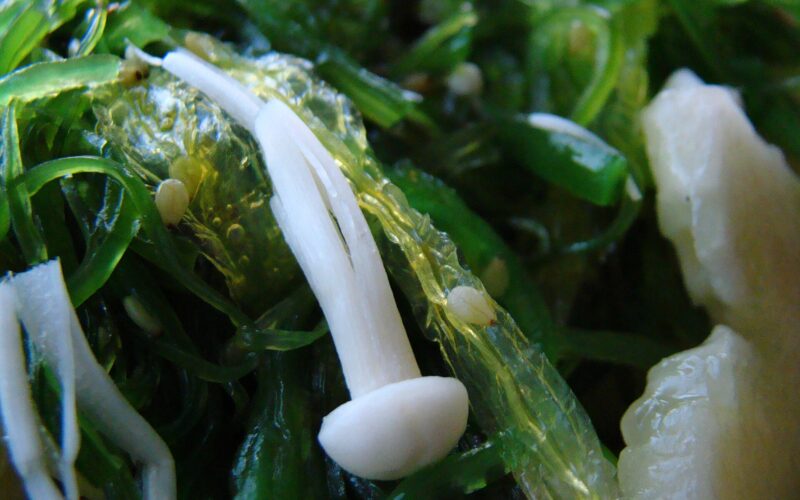 Japanse salades: 9 klassiekers die je thuis makkelijk maakt