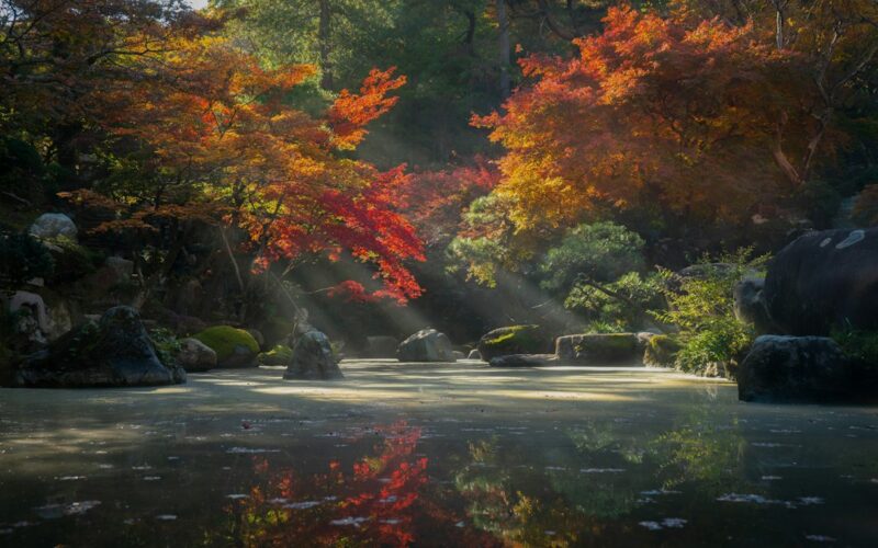 Japanse Tuin Den Haag: openingstijden en reserveren