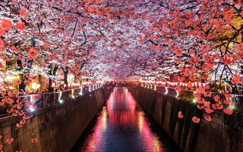 Beste reistijd Japan: per maand, seizoen en regio