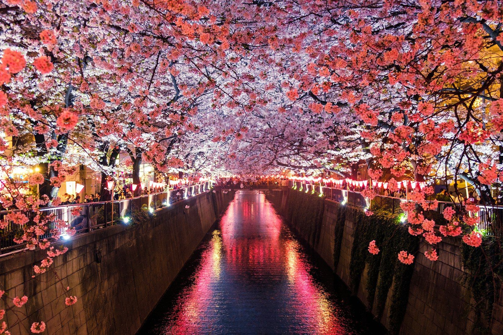 Beste reistijd Japan: per maand, seizoen en regio