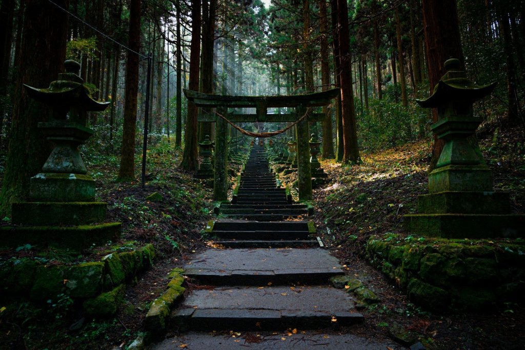 Wat te doen in Japan: de beste uitjes per regio en seizoen