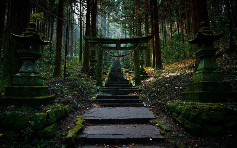 Wat te doen in Japan: de beste uitjes per regio en seizoen