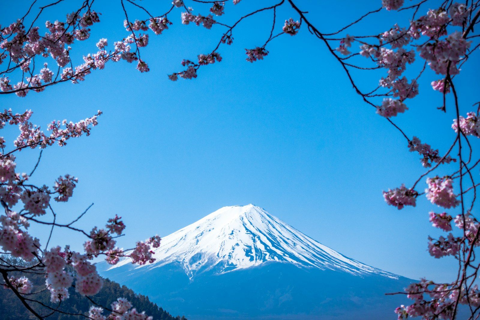 Uitzicht op de berg Fuji